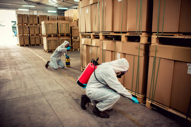 Wasp Removal Services in Bladenboro, NC